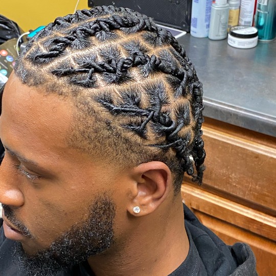 Starter Locs
